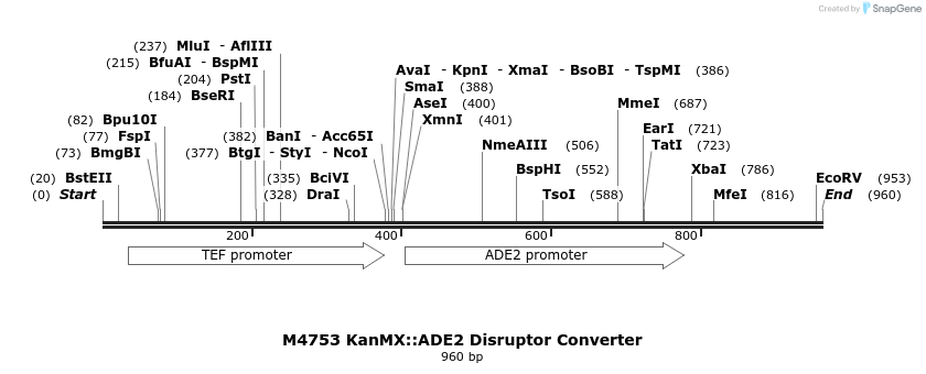 81311_map