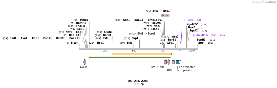 81313_map