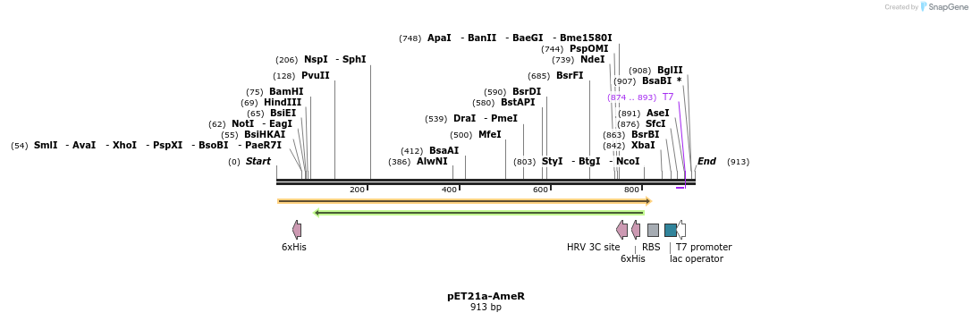 81318_map
