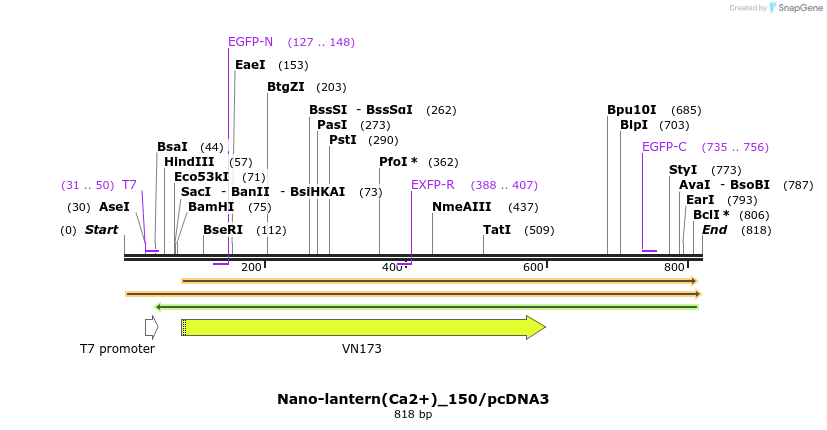 81321_map