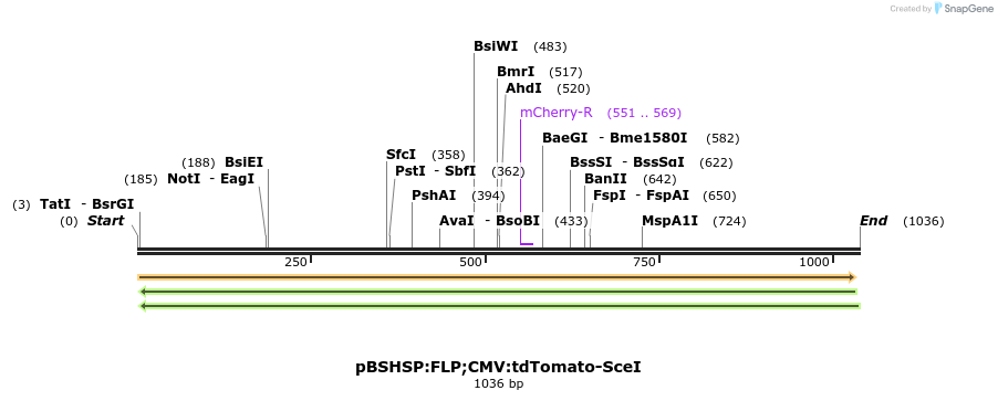 81324_map