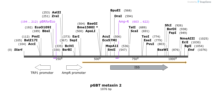 81327_map