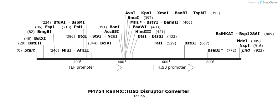 81339_map