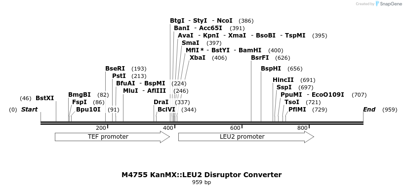 81340_map