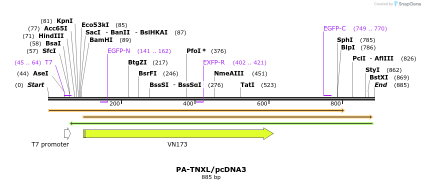 81346_map