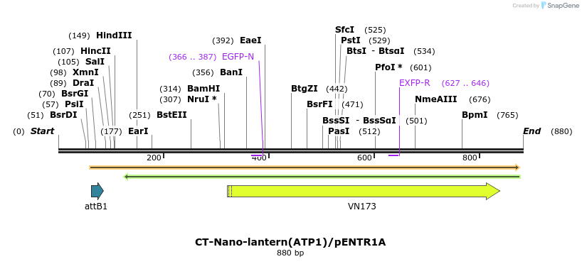 81349_map