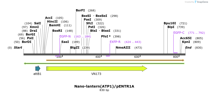 81350_map