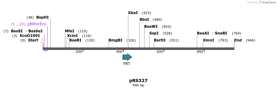 81352_map