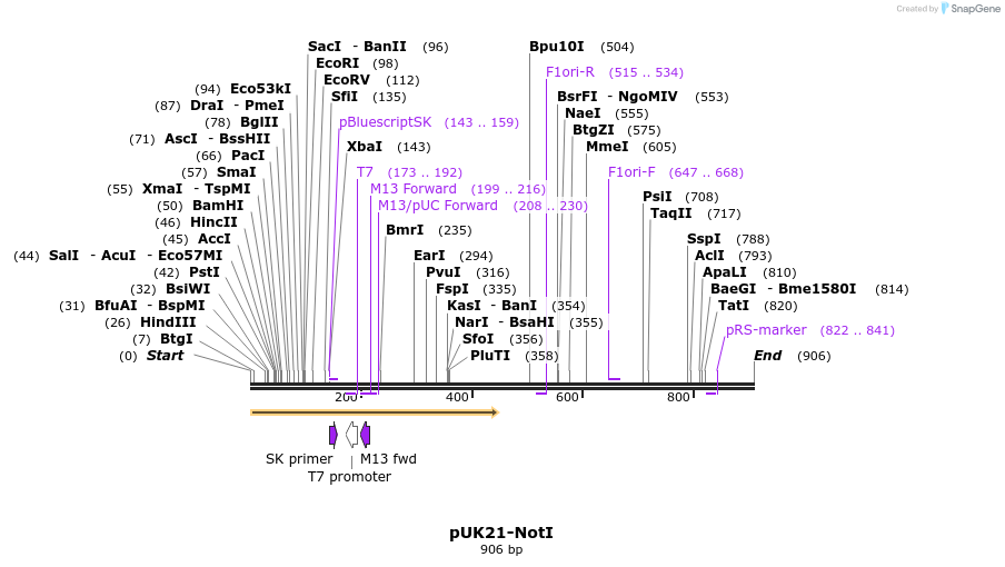 81355_map