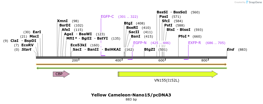 81356_map