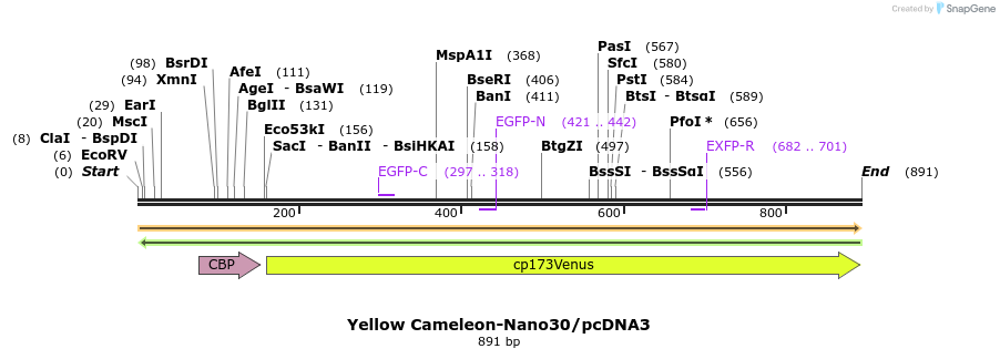 81359_map