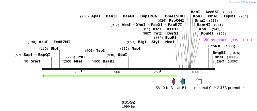 81360_map