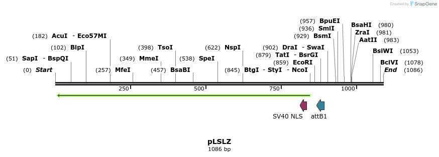 81371_map