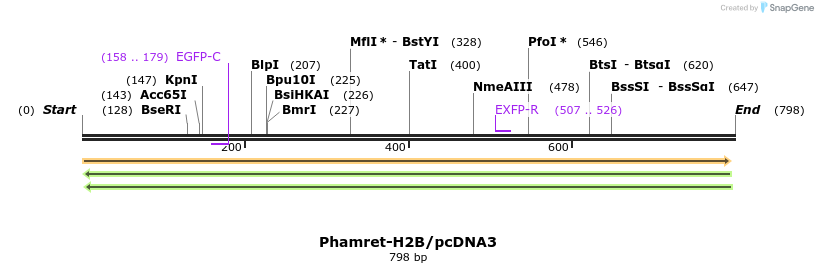 81372_map