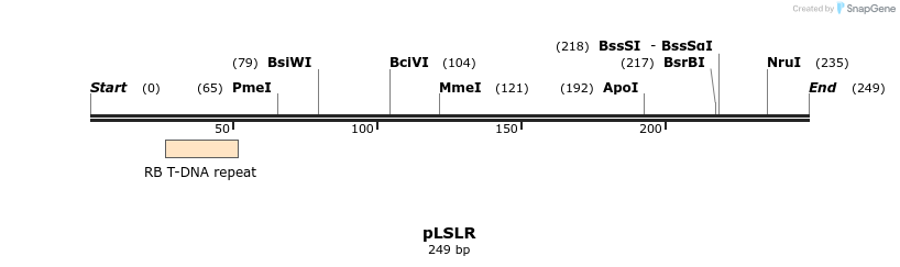 81375_map
