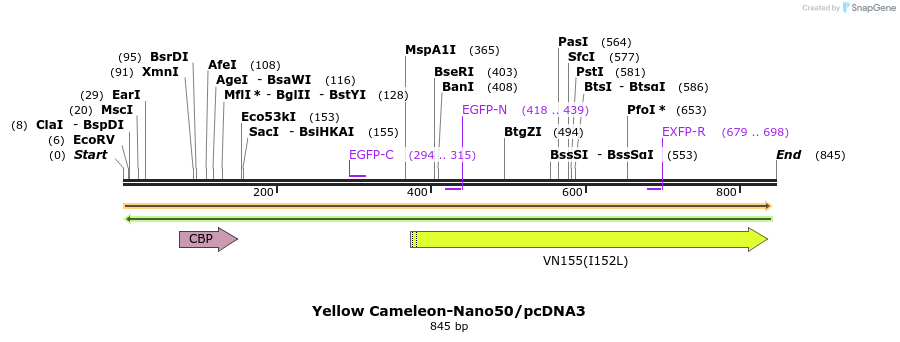 81383_map