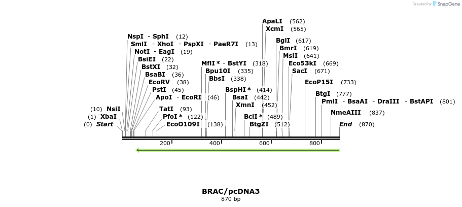 81391_map