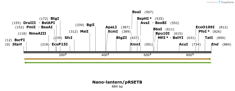 81395_map