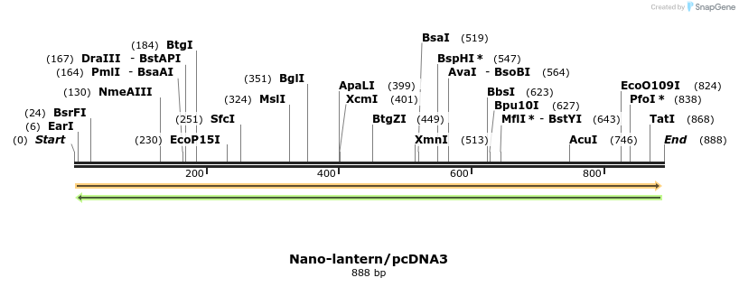 81396_map