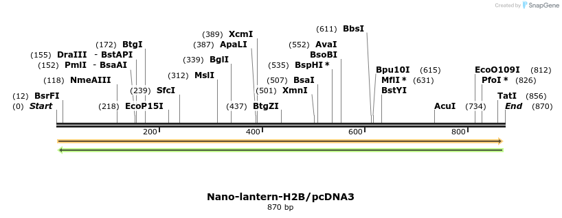 81398_map
