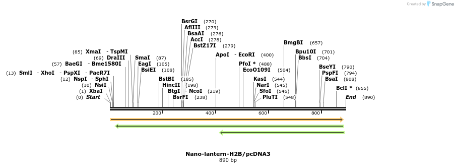 81401_map
