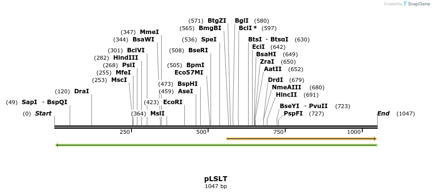 81403_map
