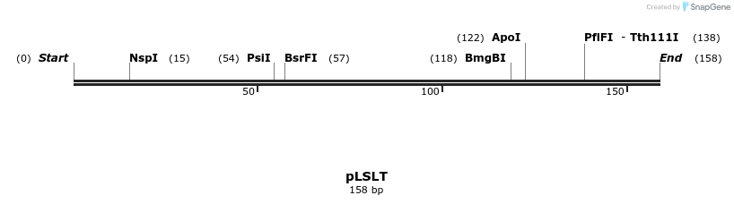 81404_map