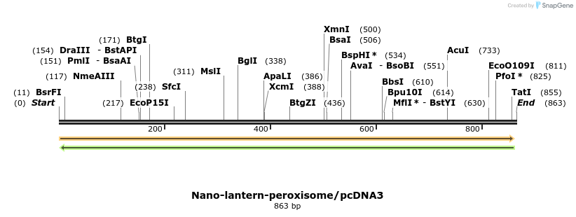 81407_map