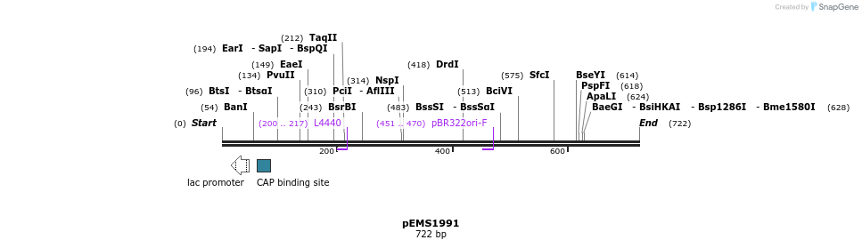 81408_map
