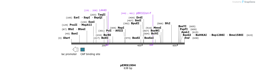 81409_map