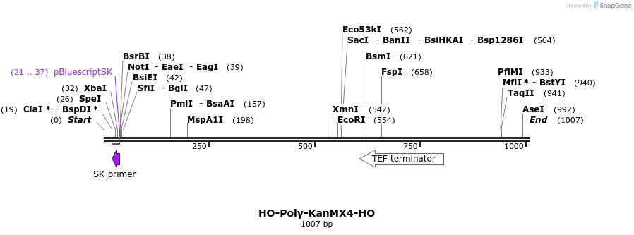 81412_map