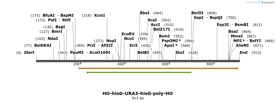 81413_map