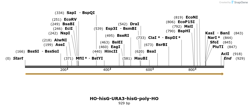 81414_map