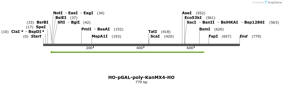 81416_map