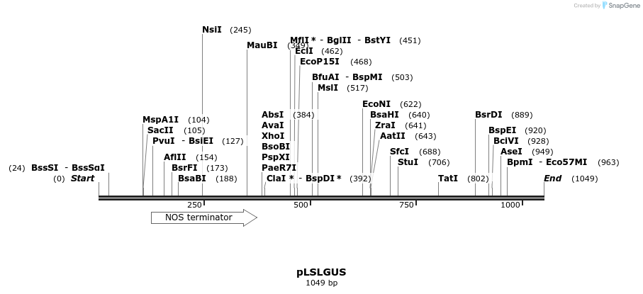 81418_map