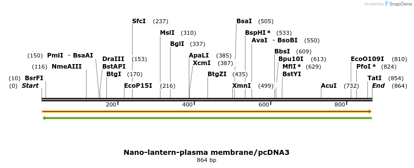 81419_map