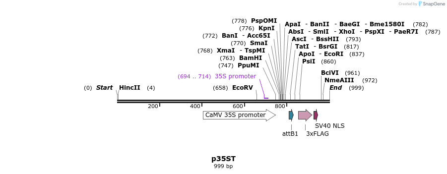 81421_map
