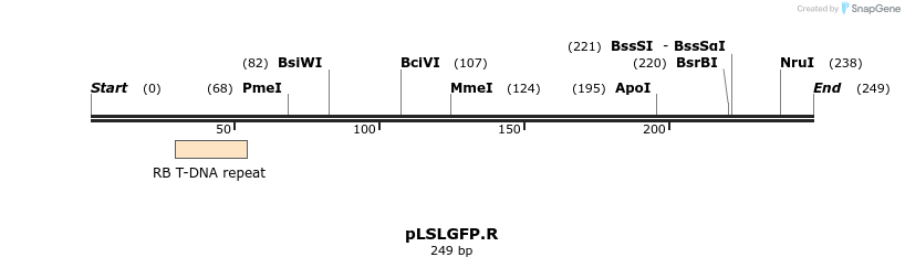 81423_map