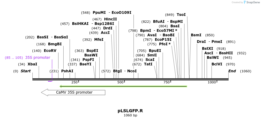 81424_map