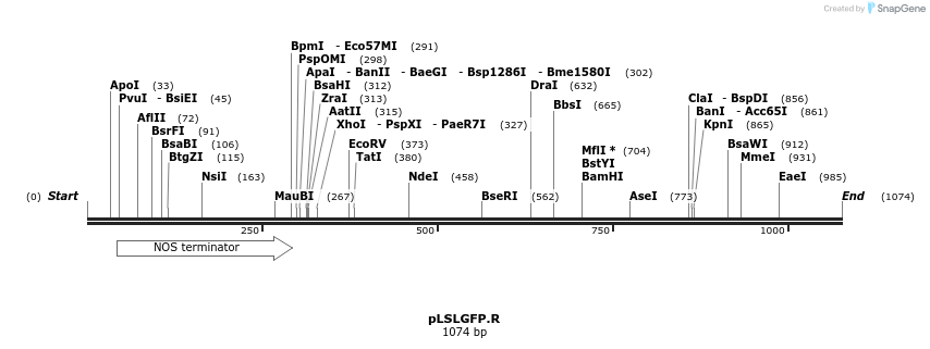 81425_map