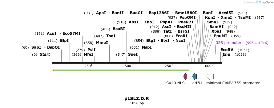 81426_map