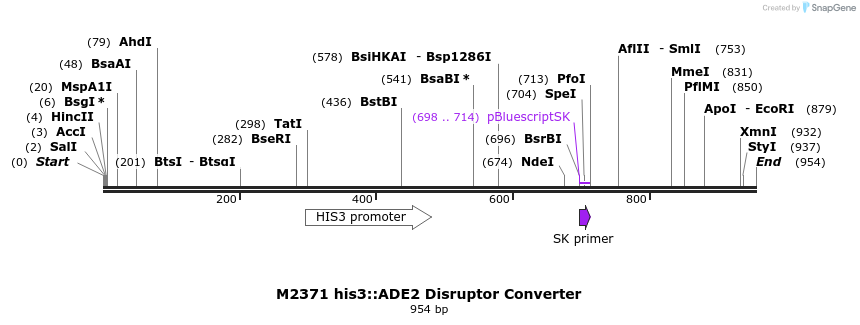81436_map