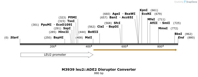 81439_map