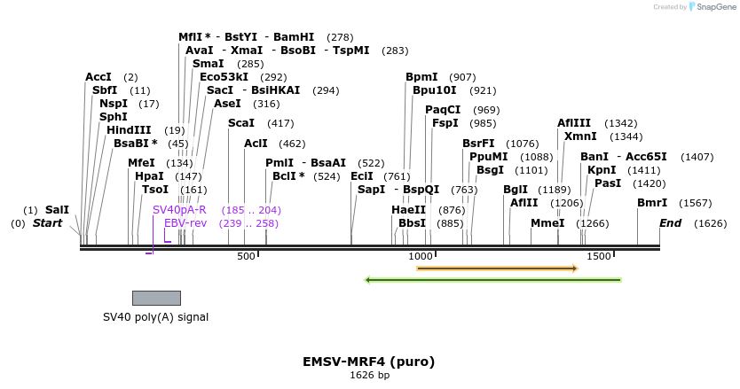8144_map