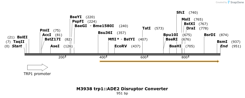 81440_map