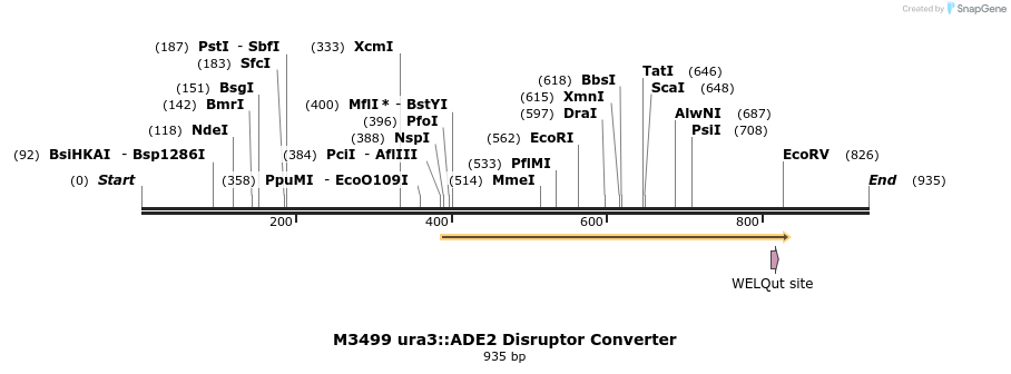 81441_map
