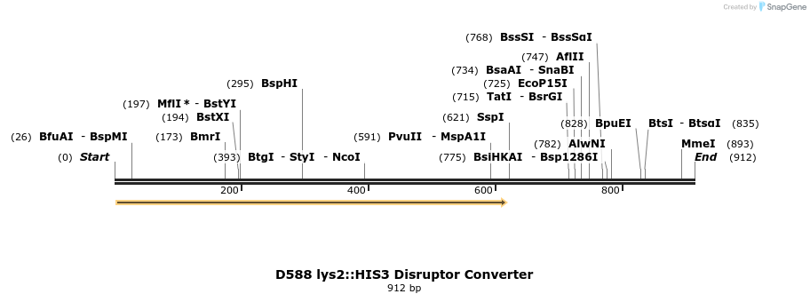 81442_map