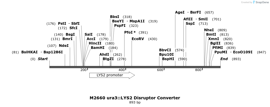 81444_map