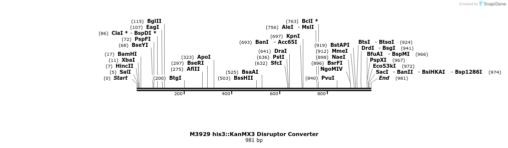 81445_map