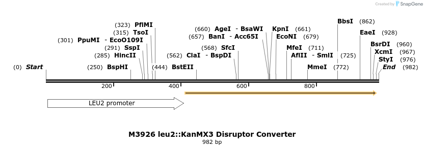 81448_map